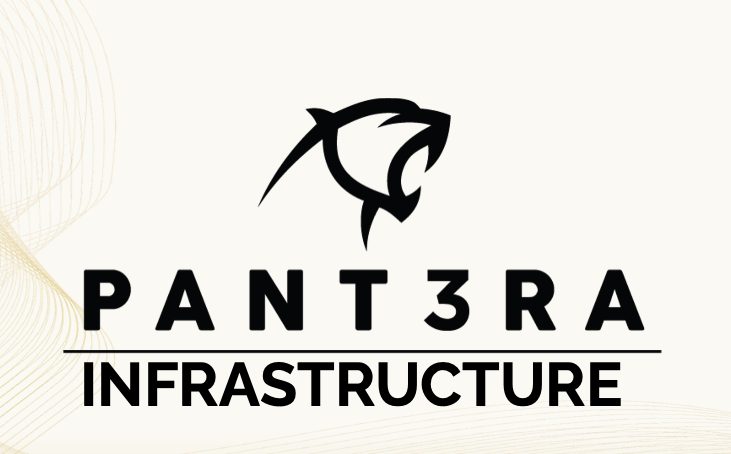 Pantera Infrastructure Market Opportunity